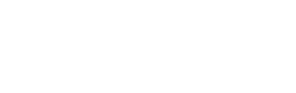 Logo Vízum
